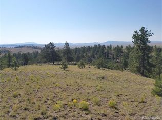 653 Adobe Rd, Hartsel, CO 80449