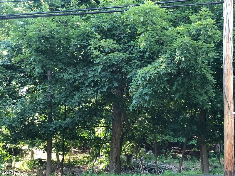 2nd image of 75 Laurel Ave