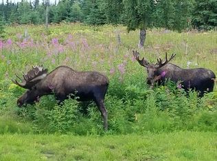 52546 Hematite Ave, Homer, AK 99603