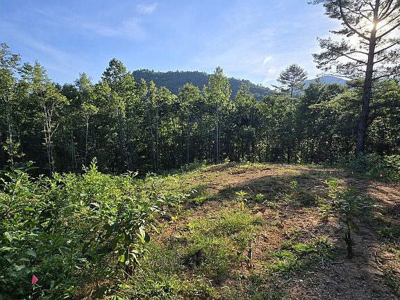 3rd image of LOT 67 Hi River Rd