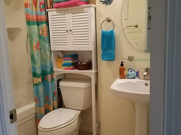 guest bathroom