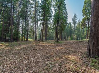 27460 State Highway 88, Pioneer, CA 95666