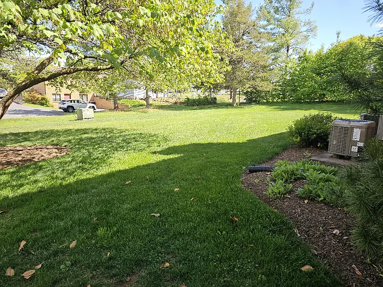 Back yard