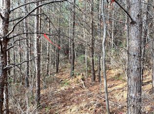 99999 Silver Creek Rd #A, Mill Spring, NC 28756