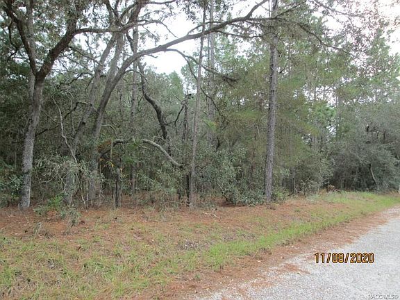 2nd image of 11959 S Pine Oak Ter
