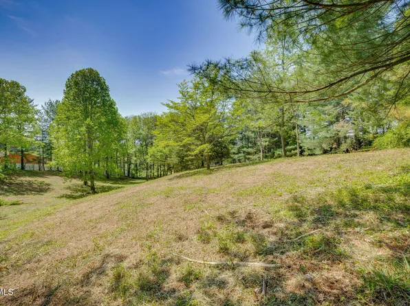 123 Woodbury Dr, Gray, TN 37615