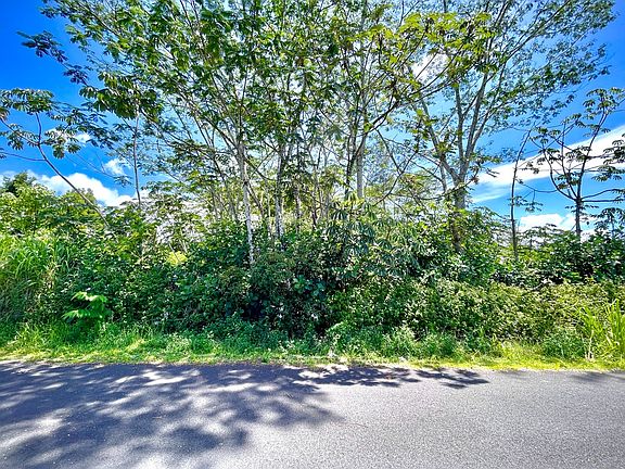 2nd image of 6th Ave Lot 1169