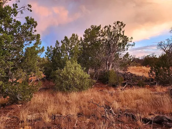 10 Betty Ln, Ramah, NM 87321