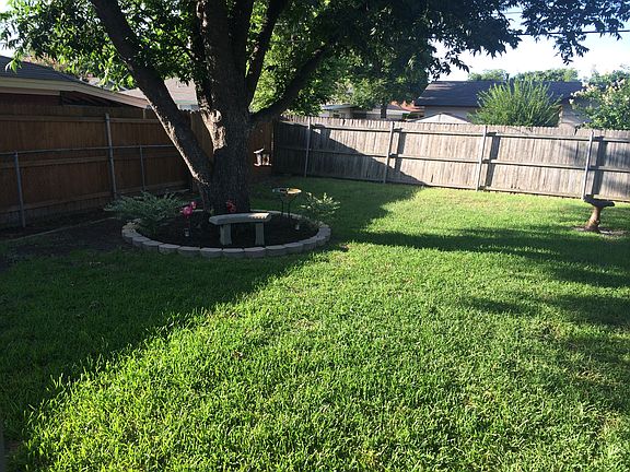 Back yard