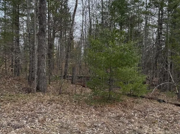 16271 Timberline Dr, Wolverine, MI 49799