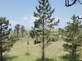 1102 Emery Loop #1102, Fort Garland, CO 81133