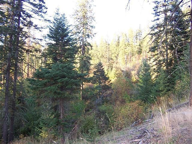 2nd image of 140 Simler Rd