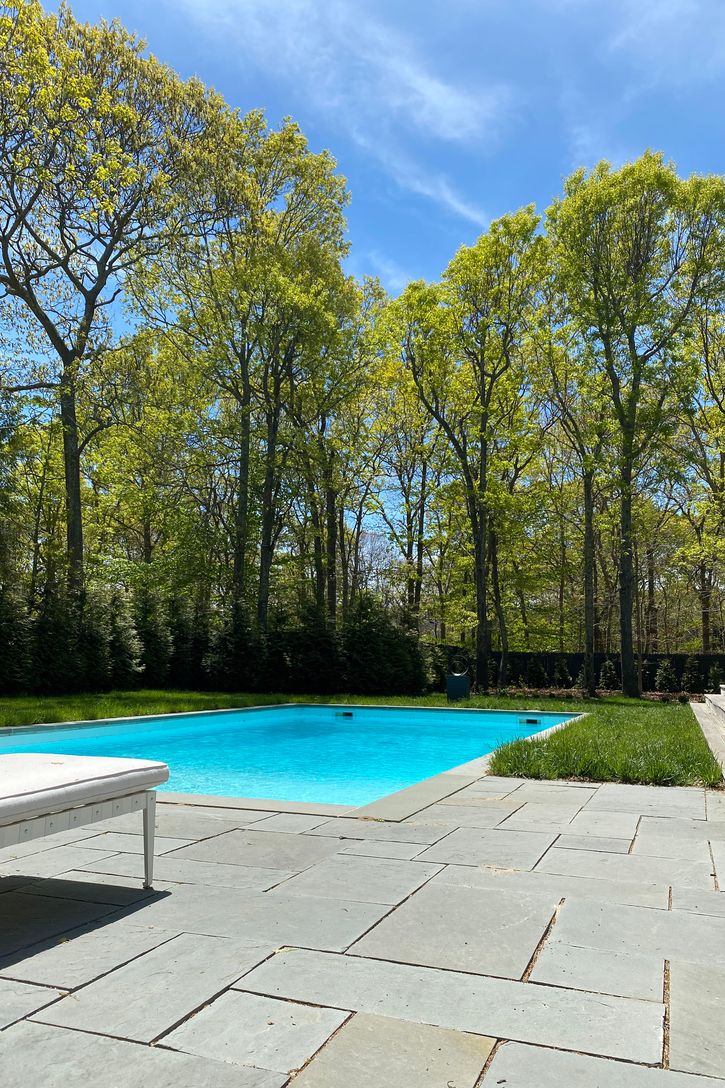 Beautiful Pool and Yard