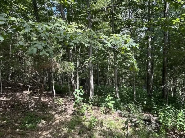 1820 Mountainside Dr, Blacksburg, VA 24060