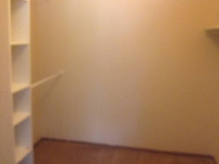 Large walk-in closet