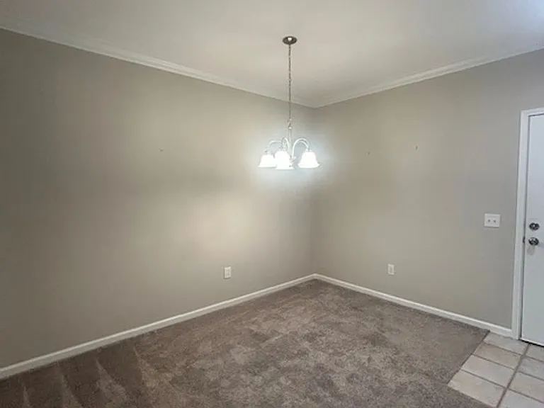 1704 Frederica Rd #428 — Photo 3