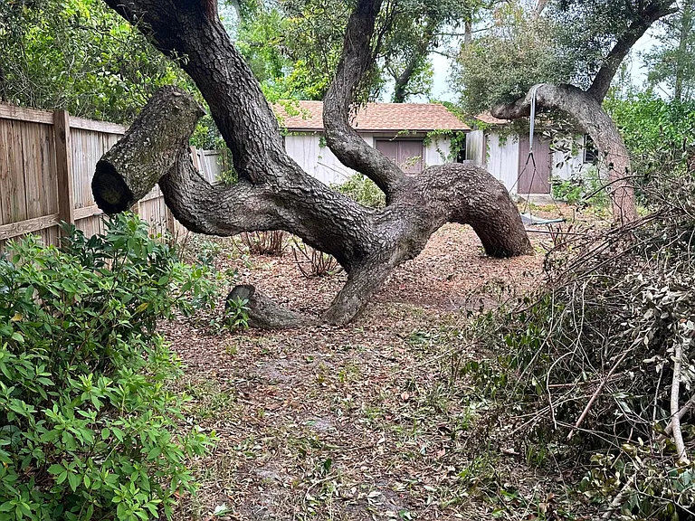 This back yard has so much charachter.