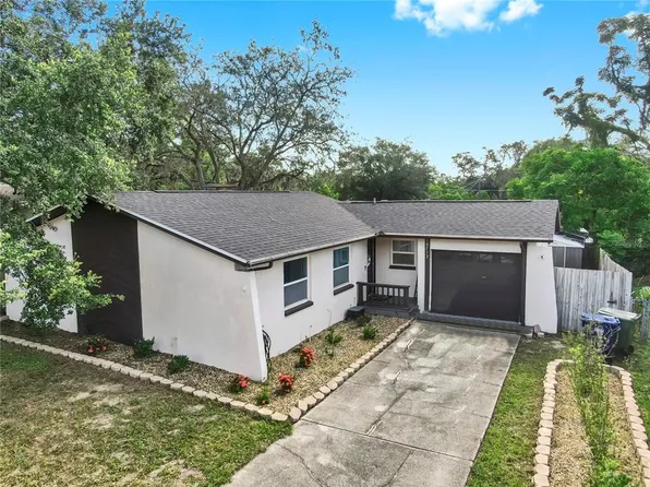 10713 N Ojus Dr, Tampa, FL 33617