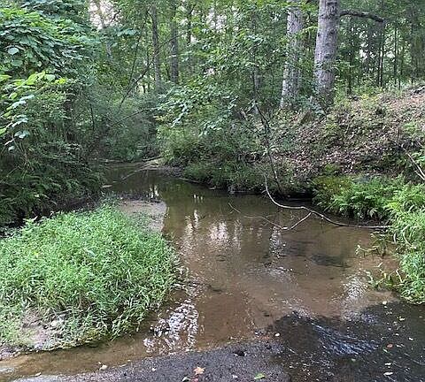 3rd image of 944 Muscovy Ln