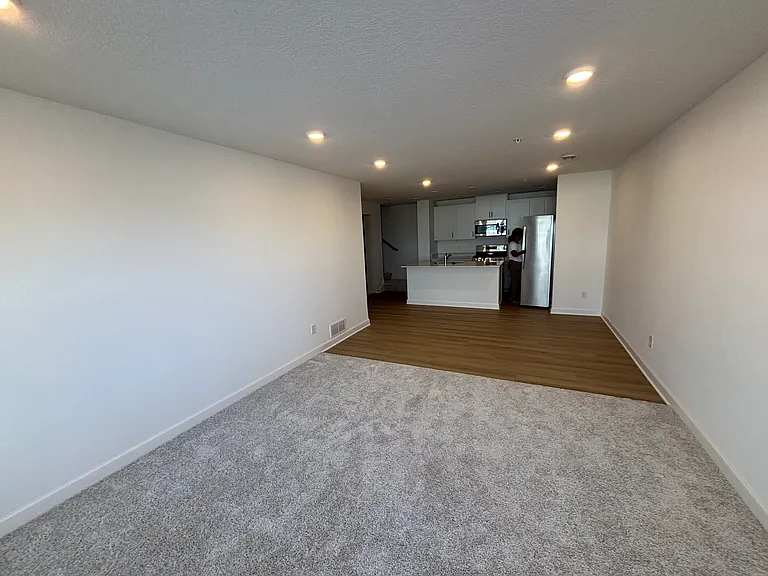 Living Room and Kitchen