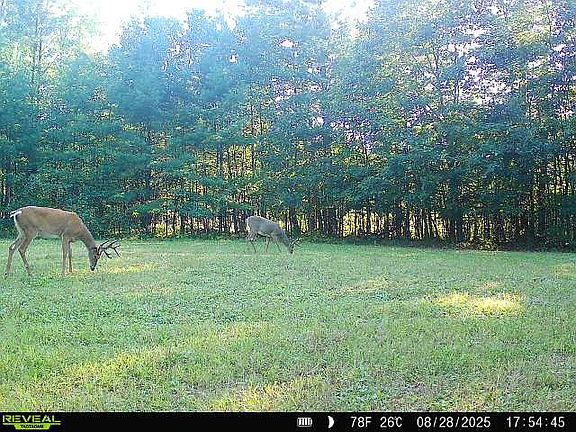 4th image of 7487 W Poertner Road