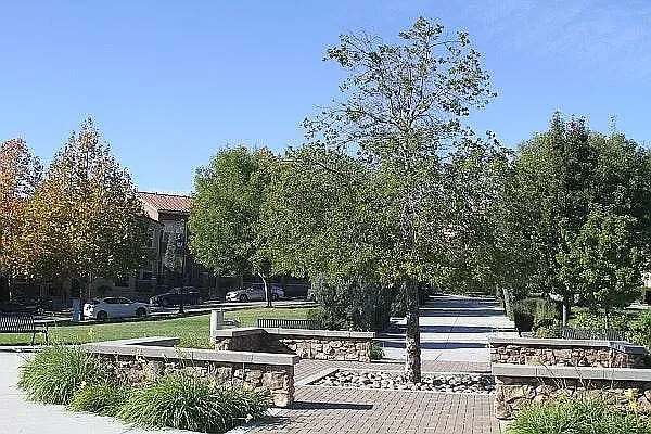 372 Adeline Ave — Photo 25