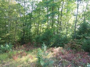 2183 Mining Town Rd, Mountain City, TN 37683