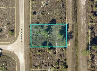 919 Bassinger Ave S, Lehigh Acres, FL 33974