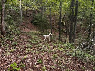 1158 Yellow Breeches Rd, Cosby, TN 37722