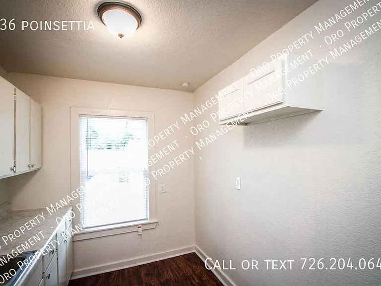 936 Poinsettia — Photo 7