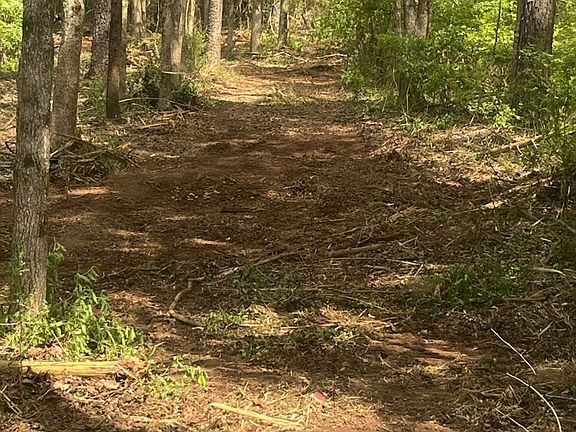 5th image of 0 Jackson Rd