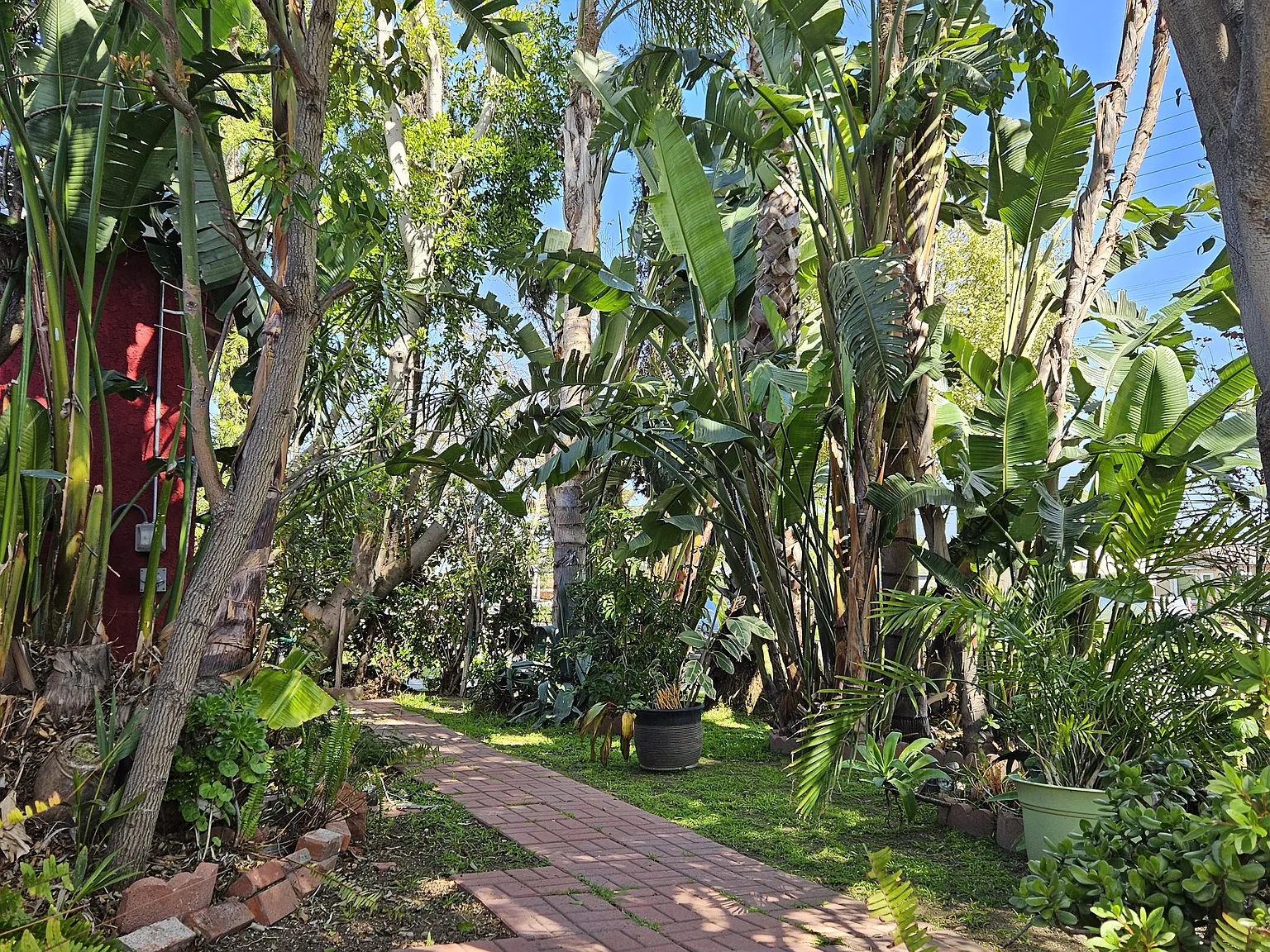 Daisy Avenue, Long Beach — Photo 4