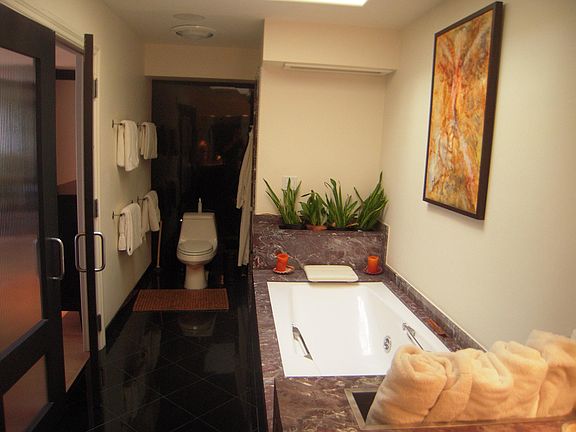 master bathroom, jet batch tub, steamed shower, walk in clos