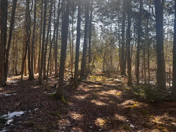 1148 Cape Rosier Road, Brooksville, ME 04617