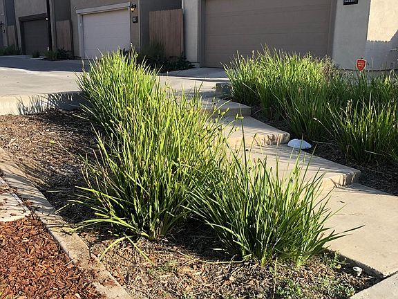 3rd image of 4406 Natomas Central Dr