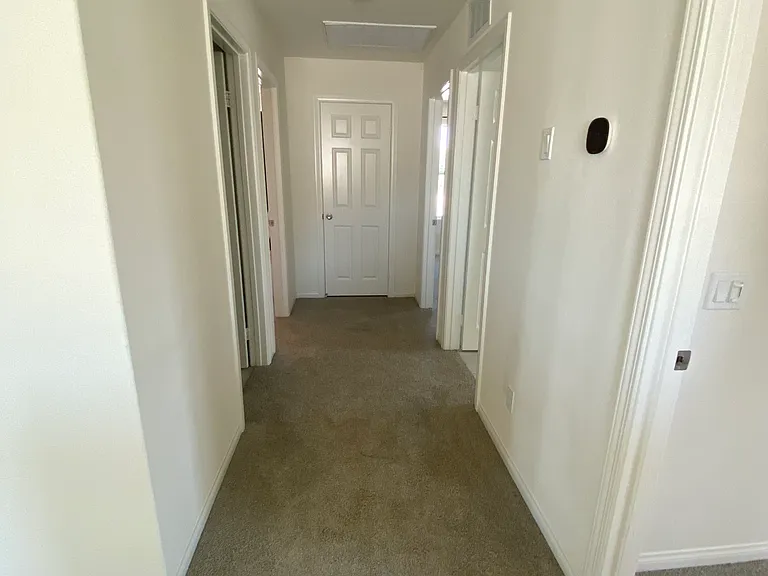 20097 Lemonscent Dr — Photo 16