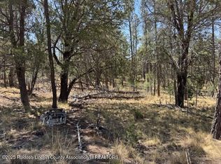12 Drury Ln, Timberon, NM 88350