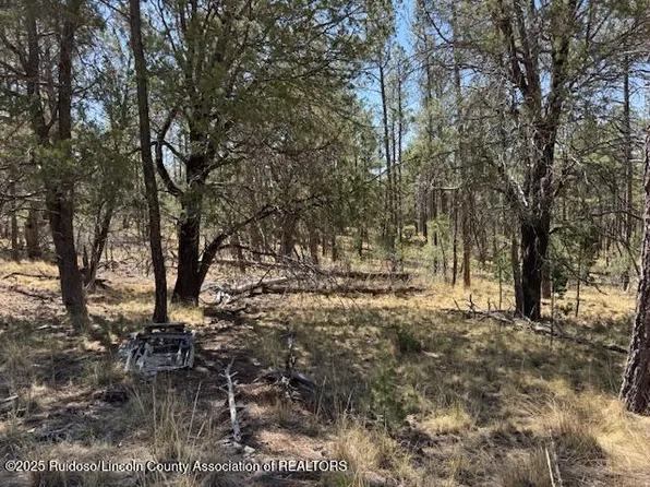 12 Drury Ln, Timberon, NM 88350