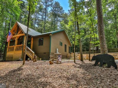 257 Acadia Dr, Ellijay, GA, 30540