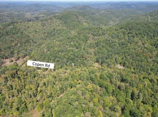 3219 Copen Rd, Copen, WV 26615