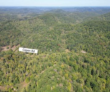 3219 Copen Rd, Copen, WV, 26615
