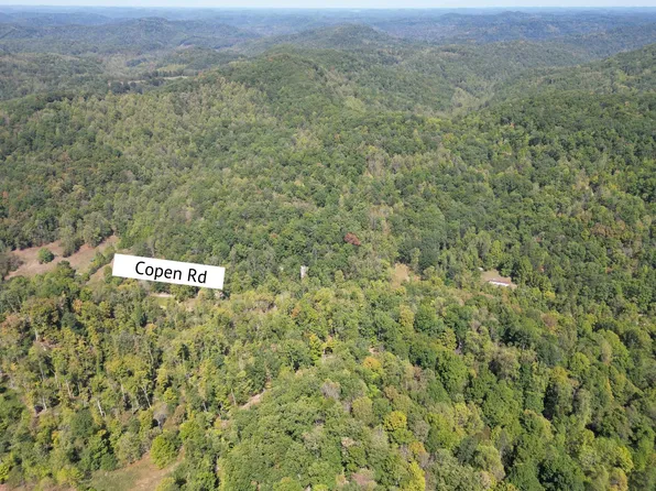 3219 Copen Rd, Copen, WV 26615