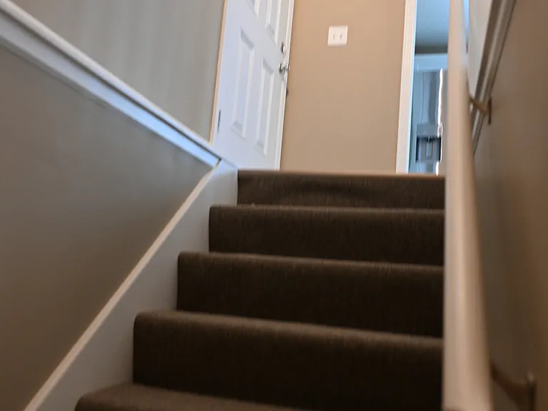 Stairs from basement/garage to main level. New carpet.