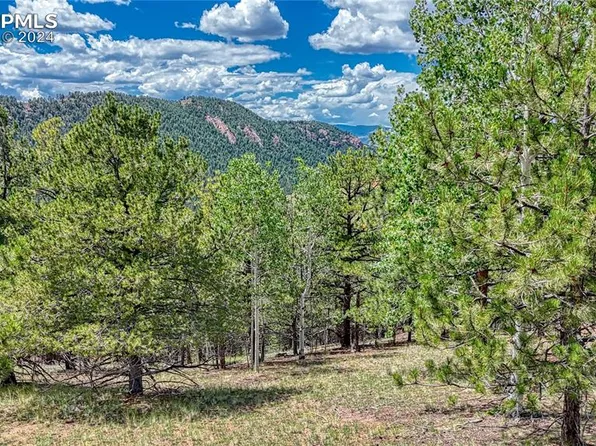24 Wild Horse Cir, Cripple Creek, CO 80813