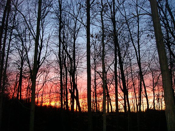 Sunset through Back Windows