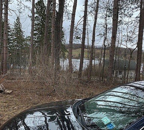 View of lake from shed.