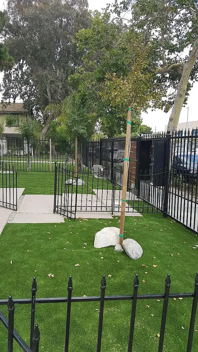3 bed, 2.5 bath, 1100 sqft, $2,950 — Photo 3