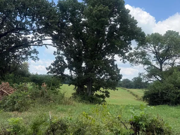 000 Sorrell Road #000, Stella, MO 64867