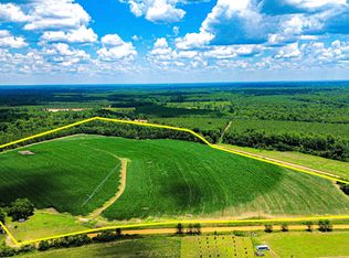 2941 Jd Williams Rd, Cadwell, GA 31009