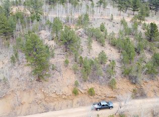 367 Neish Street, Bailey, CO 80421